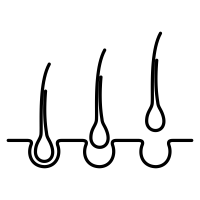 2020702 200