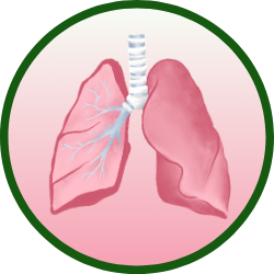 respiratory