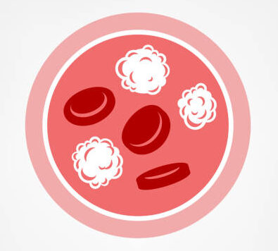 istockphoto 1019048326 612x612 1 e1747900475967